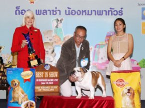 Thailand International Dog Show 2012(AB3)