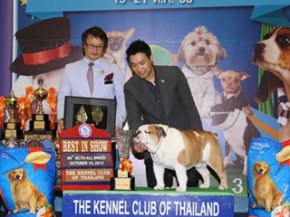 Bangkok Grand Dog Show 2012(AB1)