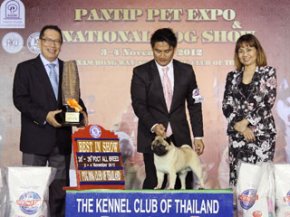 PANTIP PET EXPO & NATIONAL DOG SHOW 2012(AB2)