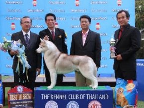 Thailand Grand Pet Show 2012