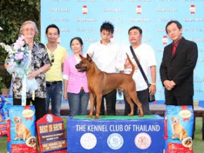 Thai Ridgeback Dog Specialty Championship Dog Show