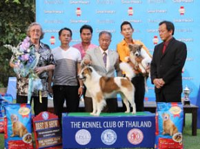 Thai Bangkaew Dog Specialty Championship Dog Show