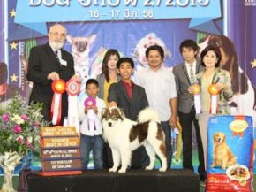 The Mall Toy Dog Championship Dog Show 2/2013(TBK)