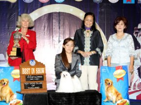 The Mall Toy Dog Championship Show 2/2011(AB3)