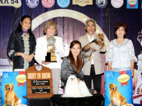 The Mall Toy Dog Championship Show 2/2011(AB4)