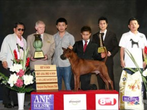 Th.Grand.Ch.Tawan Namfah Daeng-Pluang@Siam