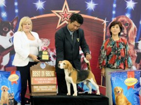 THE MALL FCI INTERNATIONAL CHAMPIONSHIP DOG SHOW 1/2011(AB3)