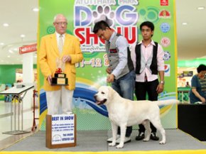 Ayutthaya Park Dog show 2011(AB2)