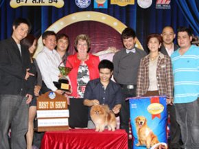 The Mall Toy Dog Championship Show 3/2011(AB3)