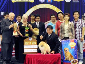 The Mall Toy Dog Championship Show 3/2011(AB4)