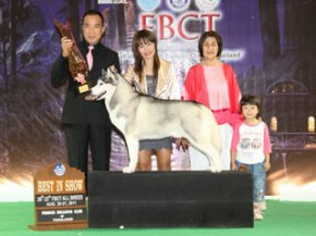 FBCT CHAMPIONSHIP DOG SHOW 3/2011 (AB1)