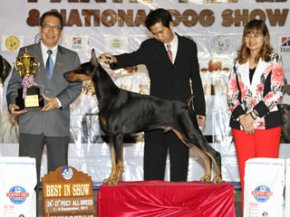 PANTIP PET EXPO & NATIONAL DOG SHOW 2011(AB2)