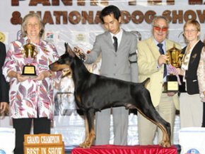 PANTIP PET EXPO & NATIONAL DOG SHOW 2011 (AB3)