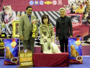 Bangkok Grand Dog Show 2011(AB2)