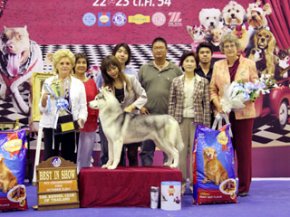 Bangkok Grand Dog Show 2011(AB3)