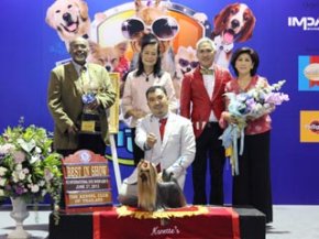 MULTI GRAND CHAMPIONS NANETTE'S OCTOBER SAND DUNE