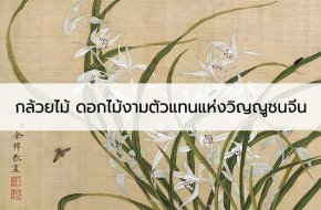 กล้วยไม้ ดอกไม้งามตัวแทนแห่งวิญญูชนจีน