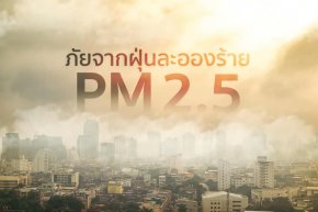 PM 2.5 ฝุ่นมรณะ