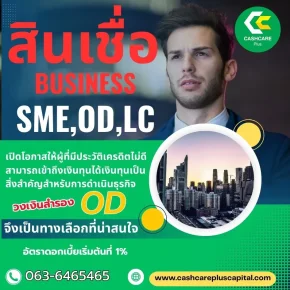 สินเชื่อbusinessSME,OD,LC