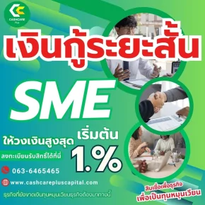 เงินกู้ระยะสั้นsme