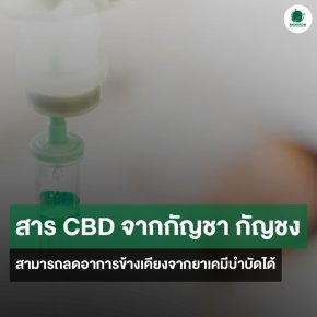 สาร CBD จากกัญชา หรือ กัญชง สามารถลดอาการข้างเคียงจากยาเคมีบำบัดได้