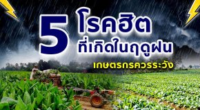 โรคฮิต ที่เกิดในฤดูฝน ที่เกษตรควรระวัง