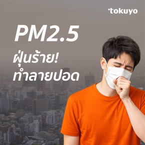 PM2.5 ฝุ่นร้าย ทำลายปอด