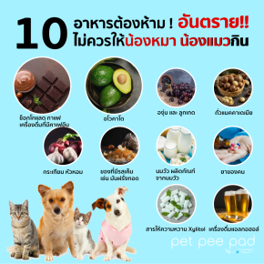 10 อาหารหมากินไม่ได้