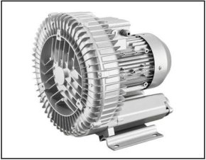 Ring blower vacuum & pressure pumps