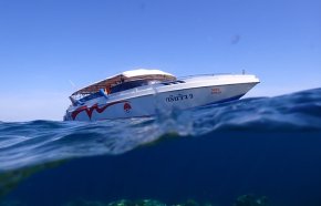 ดำน้ำหมู่เกาะสุรินทร์ Day Trip Surin island