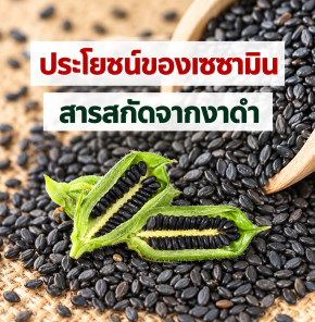 เซซามิน
