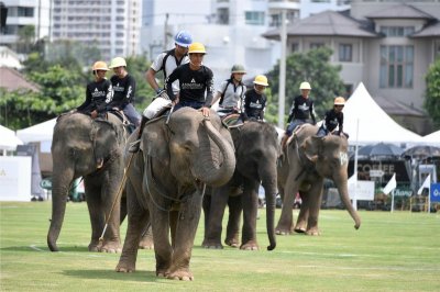 กลุ่มโรงแรม Anantara จัดงานการแข่งขันโปโลช้างชิงถ้วยพระราชทานสมเด็จพระเจ้าอยู่หัว ครั้งที่ 16