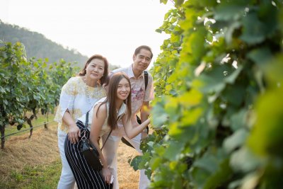 “ไร่องุ่นไวน์กราน-มอนเต้" มอบประสบการณ์สุดพิเศษ ต้อนรับเทศกาลเก็บเกี่ยวประจำปี “Harvest Festival 2019”