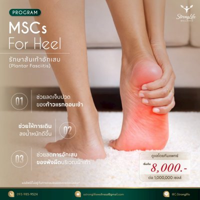 Program MSCs For Heel