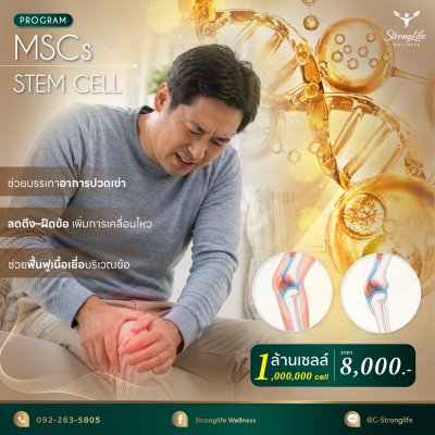 Program MSCs For Knee