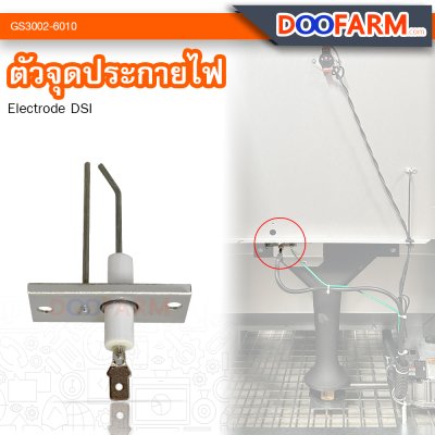 ตัวจุดประกายไฟระบบ ( DSI )