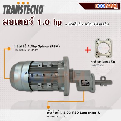 Doofarm มอเตอร์ หัวเกียร์ และหน้าแปลนเสริม (1hp 3phase) ระบบอาหาร