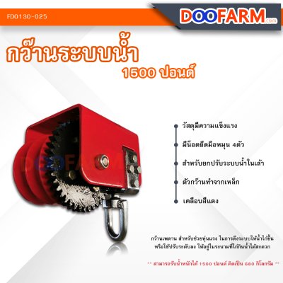 กว๊าน 1500 ปอนด์