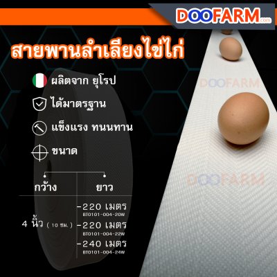 สายพานลำเลียงไข่ไก่ ( 4" ) (สีขาว)