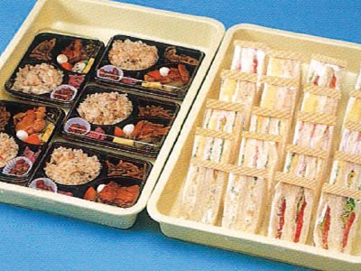 Model : SD3P-60 Type Model : SD3P-60 Type