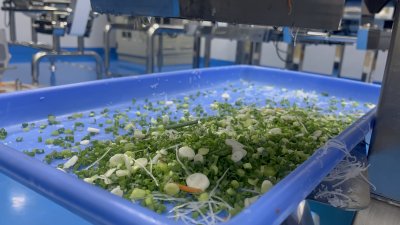 Yoshiizumi-YS-6200W Julienne Slicer