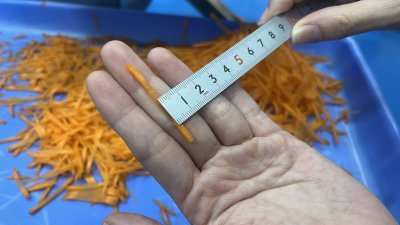 Yoshiizumi-YS-6200W Julienne Slicer