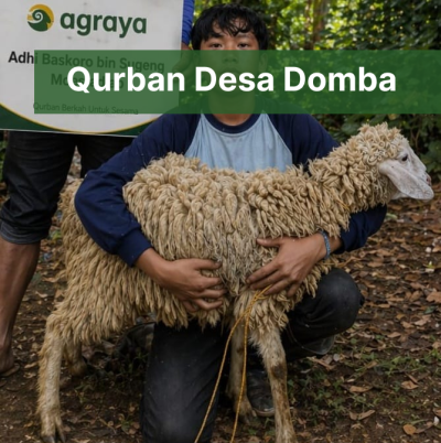 Qurban Desa Domba