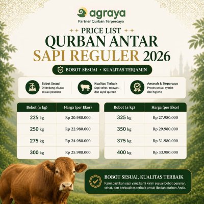 Qurban antar Sapi Reguler 2026