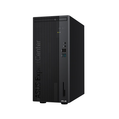Desktop PC ASUS ExpertCenter P500 Mini Tower (P500MV-05210H063X)