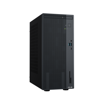 Desktop PC ASUS ExpertCenter P500 Mini Tower (PM500MH-0R5220004WS)
