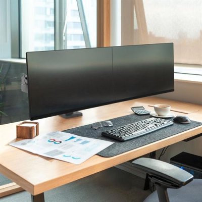 Ergotron LX Pro Dual Side-by-Side Arm (dark grey) (EGT-45-686-293)