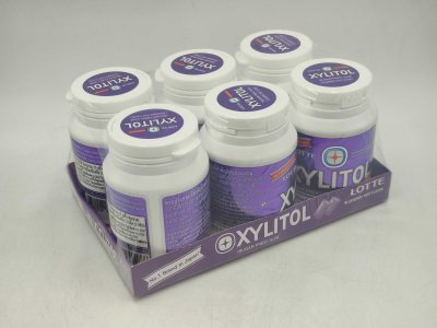 Lotte Xylitol Bottle Blueberry Mint