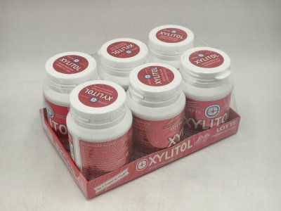 Lotte Xylitol Bottle Strawberry Mint