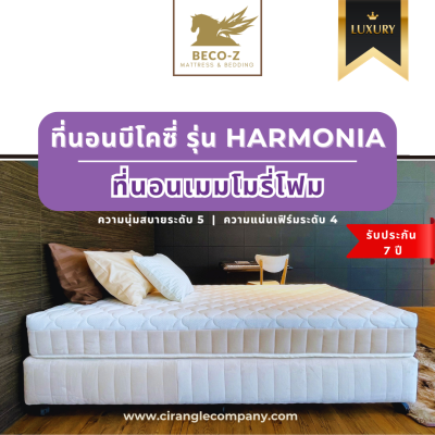 ที่นอนยางพารา เมมโมรี่โฟม ฟองน้ำ ยาง PE (ไม่มีสปริง)